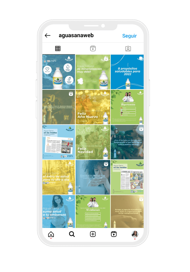 Feed Instagram Agua Sana